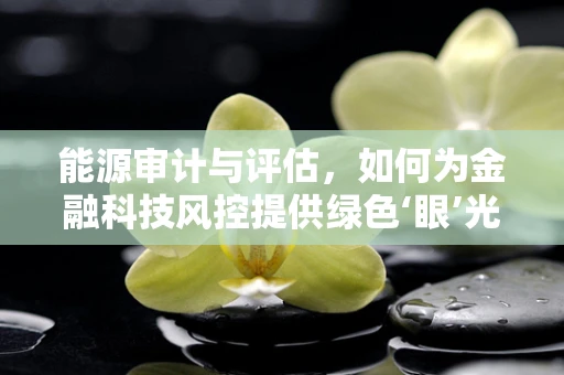 能源审计与评估，如何为金融科技风控提供绿色‘眼’光？