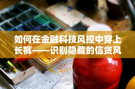如何在金融科技风控中穿上长裤——识别隐藏的信贷风险？