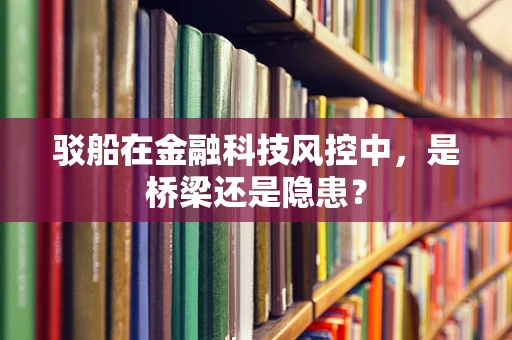 驳船在金融科技风控中，是桥梁还是隐患？