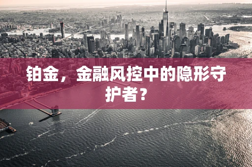 铂金，金融风控中的隐形守护者？