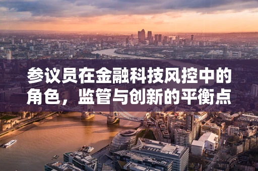 参议员在金融科技风控中的角色，监管与创新的平衡点何在？