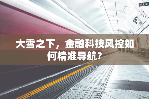 大雪之下，金融科技风控如何精准导航？