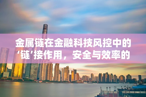 金属链在金融科技风控中的‘链’接作用，安全与效率的双重保障？
