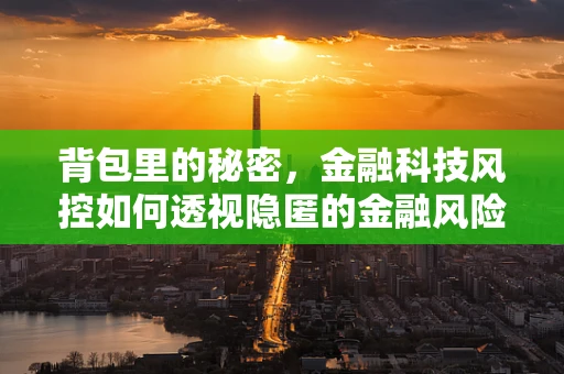 背包里的秘密，金融科技风控如何透视隐匿的金融风险？