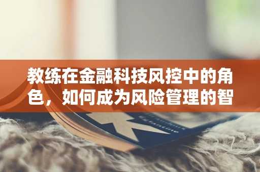 教练在金融科技风控中的角色，如何成为风险管理的智囊团？
