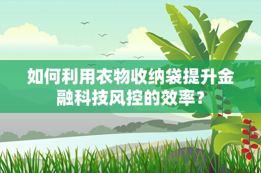 如何利用衣物收纳袋提升金融科技风控的效率？