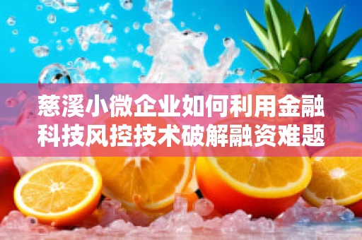 慈溪小微企业如何利用金融科技风控技术破解融资难题？