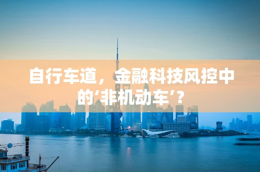自行车道，金融科技风控中的‘非机动车’？