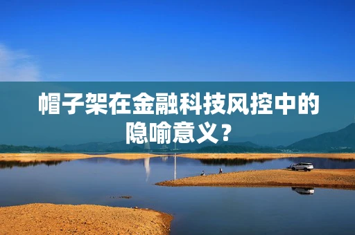 帽子架在金融科技风控中的隐喻意义？