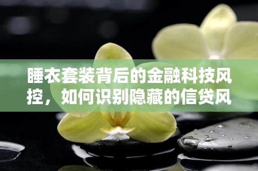 睡衣套装背后的金融科技风控，如何识别隐藏的信贷风险？