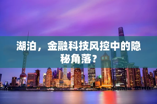 湖泊，金融科技风控中的隐秘角落？