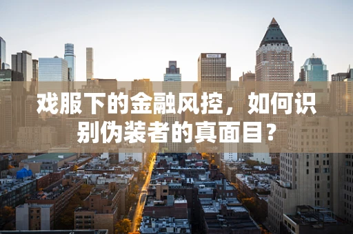 戏服下的金融风控，如何识别伪装者的真面目？