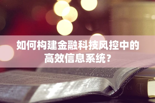如何构建金融科技风控中的高效信息系统？