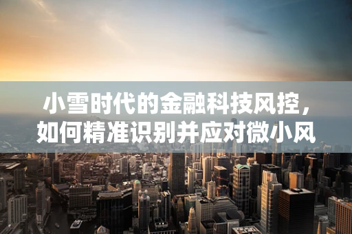 小雪时代的金融科技风控，如何精准识别并应对微小风险？