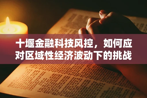 十堰金融科技风控，如何应对区域性经济波动下的挑战？