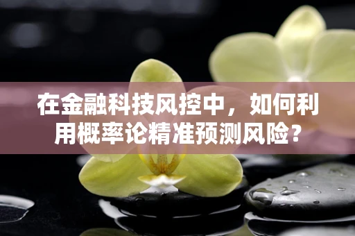 在金融科技风控中，如何利用概率论精准预测风险？