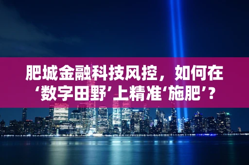 肥城金融科技风控，如何在‘数字田野’上精准‘施肥’？