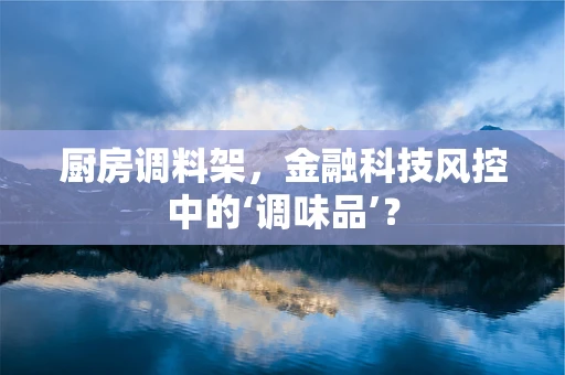 厨房调料架，金融科技风控中的‘调味品’？