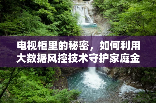 电视柜里的秘密，如何利用大数据风控技术守护家庭金融安全？