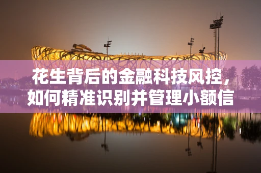 花生背后的金融科技风控，如何精准识别并管理小额信贷风险？