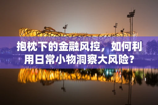 抱枕下的金融风控，如何利用日常小物洞察大风险？