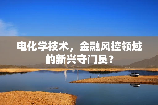 电化学技术，金融风控领域的新兴守门员？