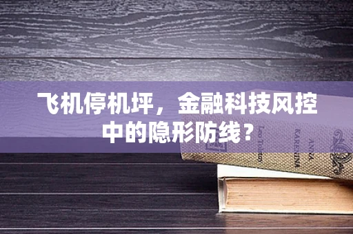 飞机停机坪，金融科技风控中的隐形防线？