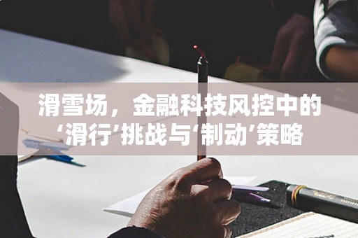 滑雪场，金融科技风控中的‘滑行’挑战与‘制动’策略