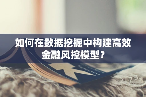 如何在数据挖掘中构建高效金融风控模型？
