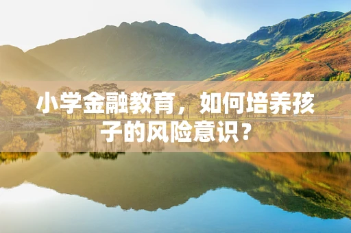 小学金融教育，如何培养孩子的风险意识？