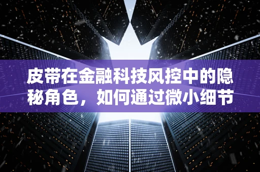 皮带在金融科技风控中的隐秘角色，如何通过微小细节洞察风险？