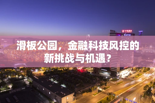 滑板公园，金融科技风控的新挑战与机遇？