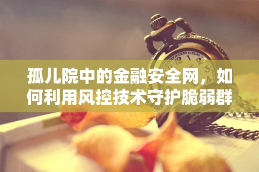 孤儿院中的金融安全网，如何利用风控技术守护脆弱群体？
