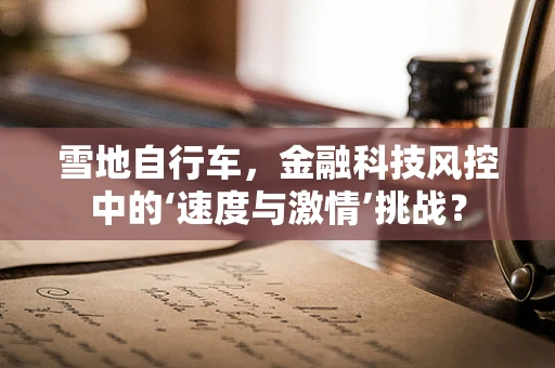 雪地自行车，金融科技风控中的‘速度与激情’挑战？