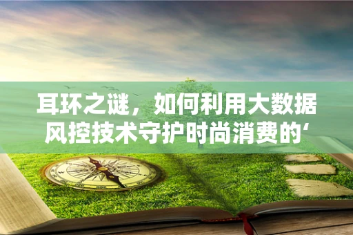 耳环之谜，如何利用大数据风控技术守护时尚消费的‘真金白银’？