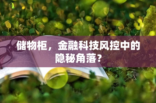 储物柜，金融科技风控中的隐秘角落？