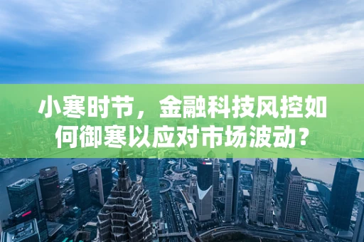 小寒时节，金融科技风控如何御寒以应对市场波动？