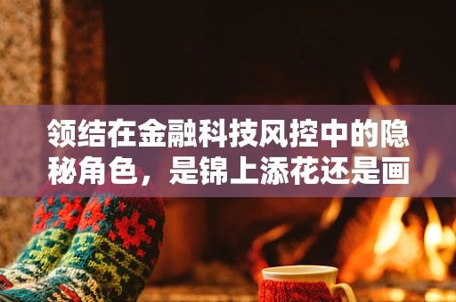 领结在金融科技风控中的隐秘角色，是锦上添花还是画蛇添足？