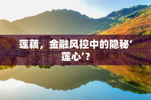 莲藕，金融风控中的隐秘‘莲心’？