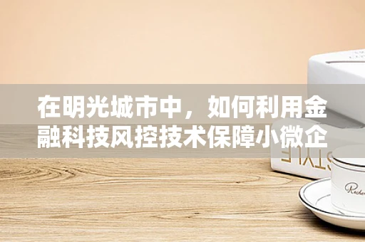 在明光城市中，如何利用金融科技风控技术保障小微企业的资金安全？