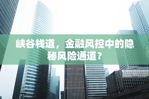 峡谷栈道，金融风控中的隐秘风险通道？