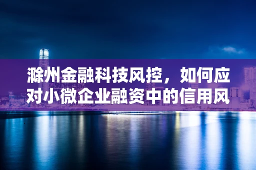 滁州金融科技风控，如何应对小微企业融资中的信用风险？