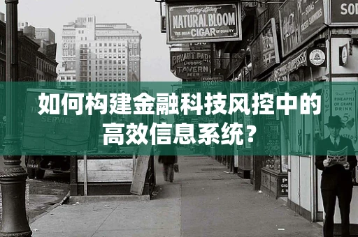 如何构建金融科技风控中的高效信息系统？
