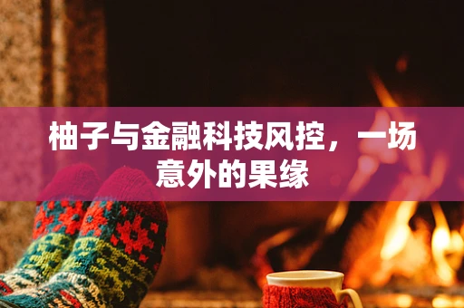 柚子与金融科技风控，一场意外的果缘