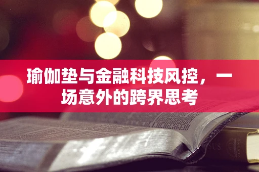 瑜伽垫与金融科技风控，一场意外的跨界思考