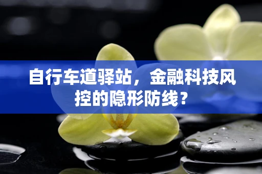 自行车道驿站，金融科技风控的隐形防线？