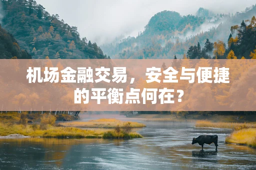 机场金融交易，安全与便捷的平衡点何在？