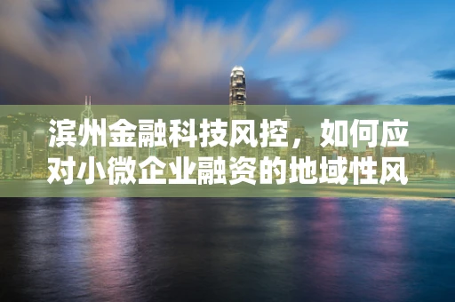 滨州金融科技风控，如何应对小微企业融资的地域性风险？