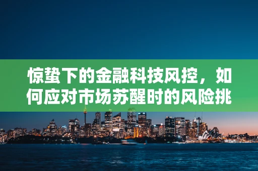 惊蛰下的金融科技风控，如何应对市场苏醒时的风险挑战？