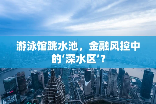 游泳馆跳水池，金融风控中的‘深水区’？